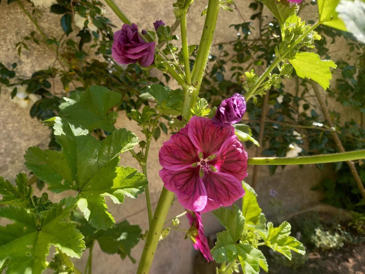 Maison Violette En Berry Aigurande 외부 사진